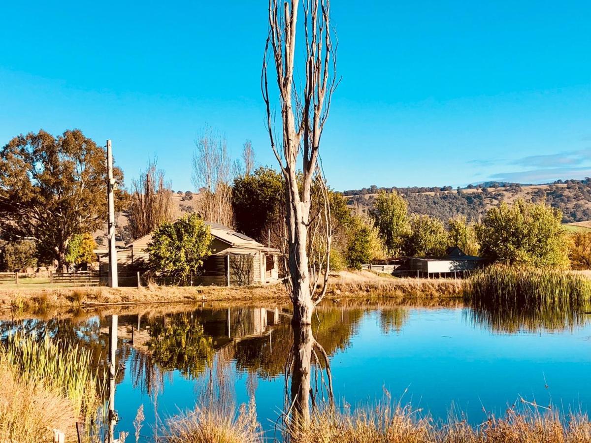 Hillview Holiday home